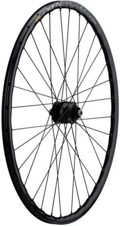 Rueda Delux 12 + Open Pro UST Disc + Sapim Race 28"