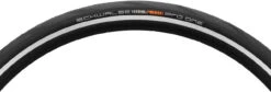 Schwalbe Cubierta Plegable Pro One Evolution MicroSkin Tubeless Easy 20" -Schwalbe Ventas 283846