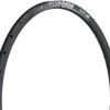 Dt-swiss Llanta RR 481 Disc 29" -Schwalbe Ventas 303481