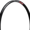 Dt-swiss Llanta XM 481 Disc 29" -Schwalbe Ventas 314658