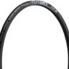 Dt-swiss Llanta GR 531 Disc 28" -Schwalbe Ventas 318494