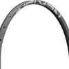 Newmen Llanta De Carbono Advanced SL X.A.30 Disc 29" -Schwalbe Ventas 322867