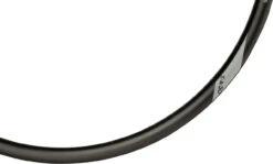 Newmen Llanta De Carbono Advanced SL X.A.30 Disc 29" -Schwalbe Ventas 322869