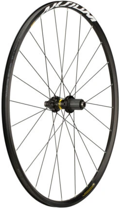 Mavic Juego De Ruedas Aksium Disc Center Lock -Schwalbe Ventas 324636