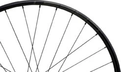 Tune Juego De Ruedas Race 23 Boost Disc 6-Loch 29" -Schwalbe Ventas 342174