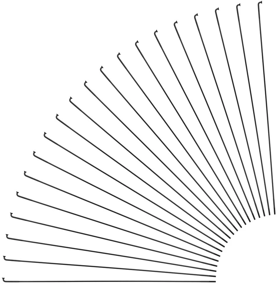 Sapim Radios Race J-Bend + Cabecillas - 20 Unidades 3 Sapim Radios Race J-Bend + Cabecillas - 20 Unidades