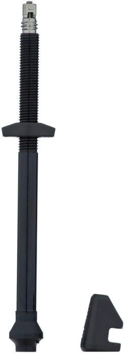 Dt-swiss Válvula Tubeless De Aluminio -Schwalbe Ventas 362264