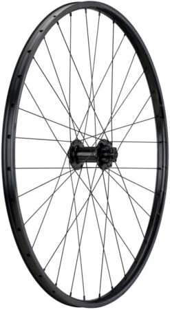 Tune Juego De Ruedas Race 23 Boost Disc 6 Agujeros 29" Modelo 2021 -Schwalbe Ventas 377735