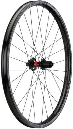 Juego De Ruedas ED30 Disc 6 Agujeros Boost Carbon 29" -Schwalbe Ventas 379508
