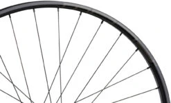 Tune Juego De Ruedas Race 29 Endurance Boost Disc Center Lock 29"-M.f.d.p. 13 Tune Juego De Ruedas Race 29 Endurance Boost Disc Center Lock 29"-M.f.d.p. -Schwalbe Ventas 385261