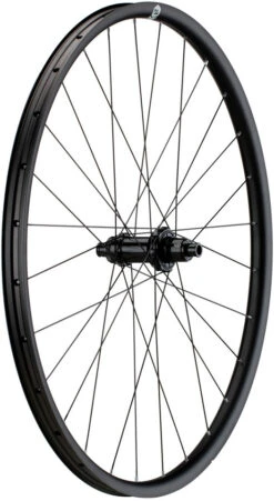 Juego De Ruedas Loamer MK2 Disc Center Lock 29" Boost 25 Juego De Ruedas Loamer MK2 Disc Center Lock 29" Boost -Schwalbe Ventas 399593