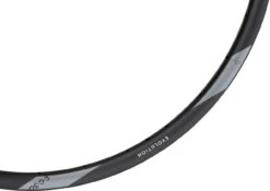 Newmen Llanta Evolution SL E.G.30 Disc 29" 12 Newmen Llanta Evolution SL E.G.30 Disc 29" -Schwalbe Ventas 425386