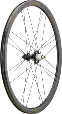 Campagnolo® Juego De Ruedas Bora Ultra WTO 33 Carbon Disc Center Lock 28" -Schwalbe Ventas 435853