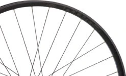 HOPE Juego Ruedas Pro 4 + Fortus 30 SC Disc 29" Boost C. Rueda Libre Alum. -Schwalbe Ventas 451280