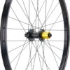 Tune Rueda Race 29 Endurance Boost Disc 6 Agujeros 29" 1 Tune Rueda Race 29 Endurance Boost Disc 6 Agujeros 29" -Schwalbe Ventas 461143