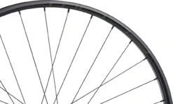 Tune Rueda Race 29 Endurance Boost Disc 6 Agujeros 29" -Schwalbe Ventas 461145