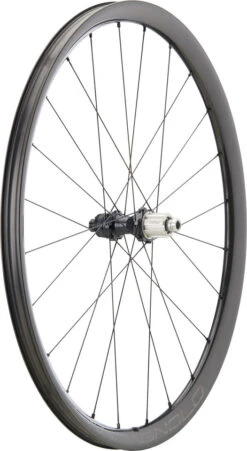 Campagnolo® Juego De Ruedas Levante Carbon Disc Center Lock 28" 14 Campagnolo® Juego De Ruedas Levante Carbon Disc Center Lock 28" -Schwalbe Ventas 474469