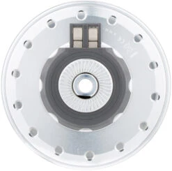 Dinamo De Buje SD-8 Disc 6 Agujeros -Schwalbe Ventas 486604